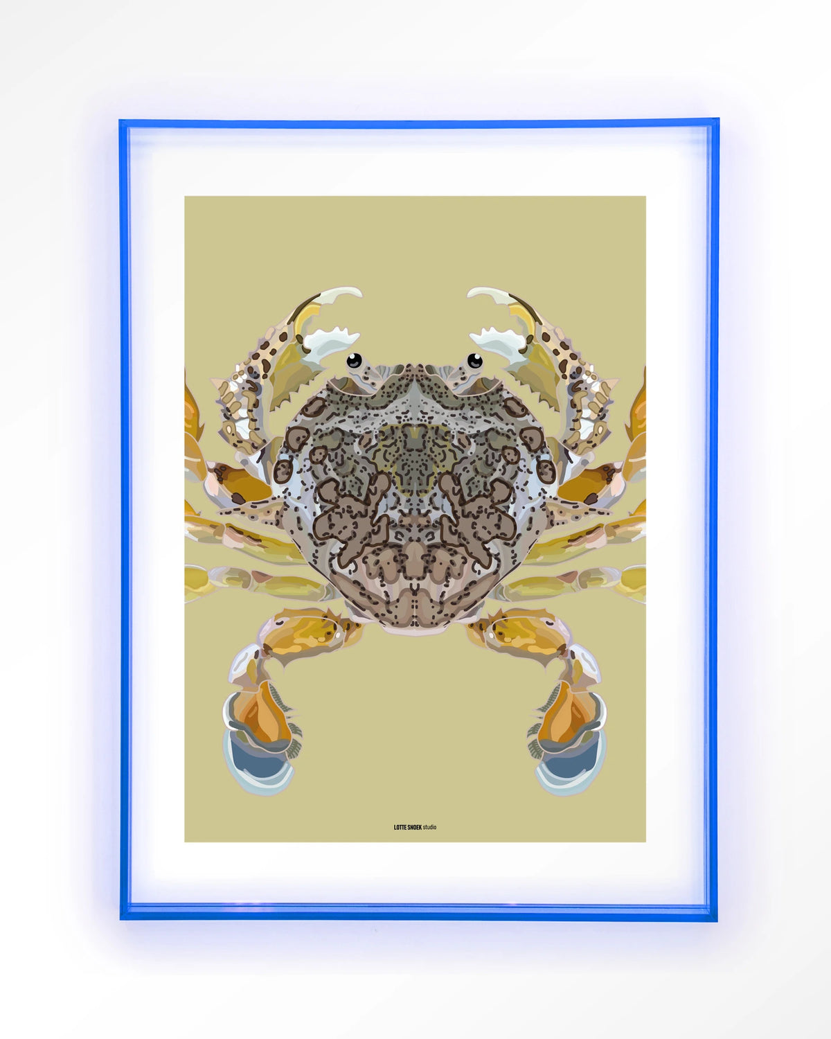 Matuta – krab op gele achtergrond – Art print – Acryl lichtblauw
