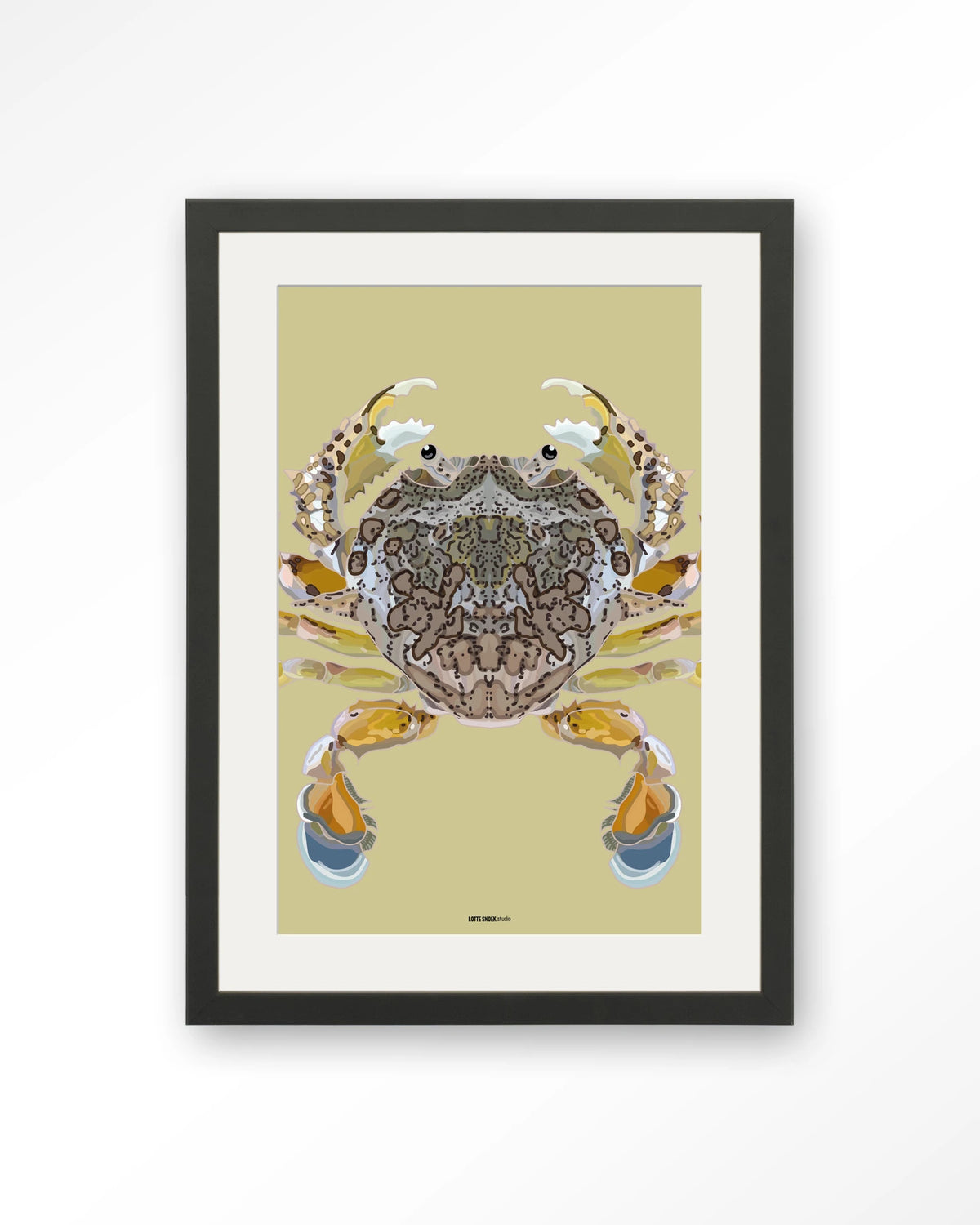 Matuta – krab op gele achtergrond – Art print – Hout zwart + passe-partout