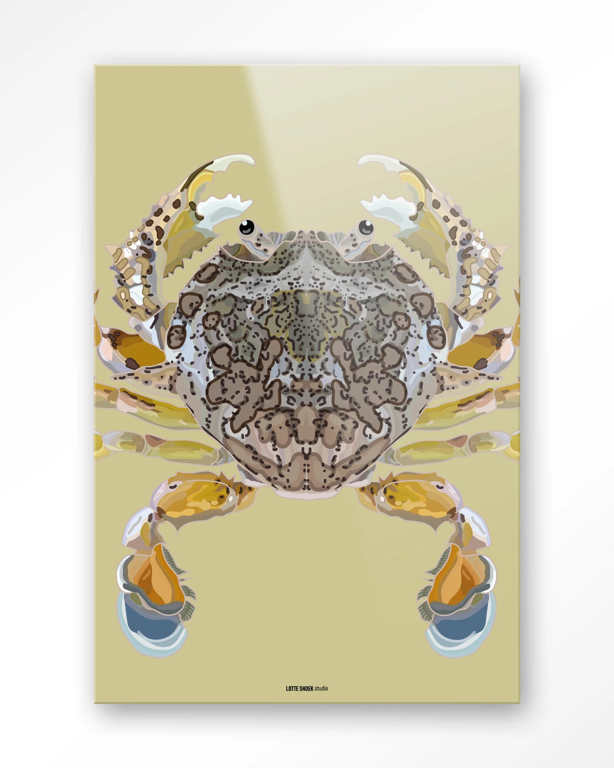 Matuta – krab op gele achtergrond – Glas – Blinde montage