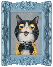 Felix Photo 30x35 cm