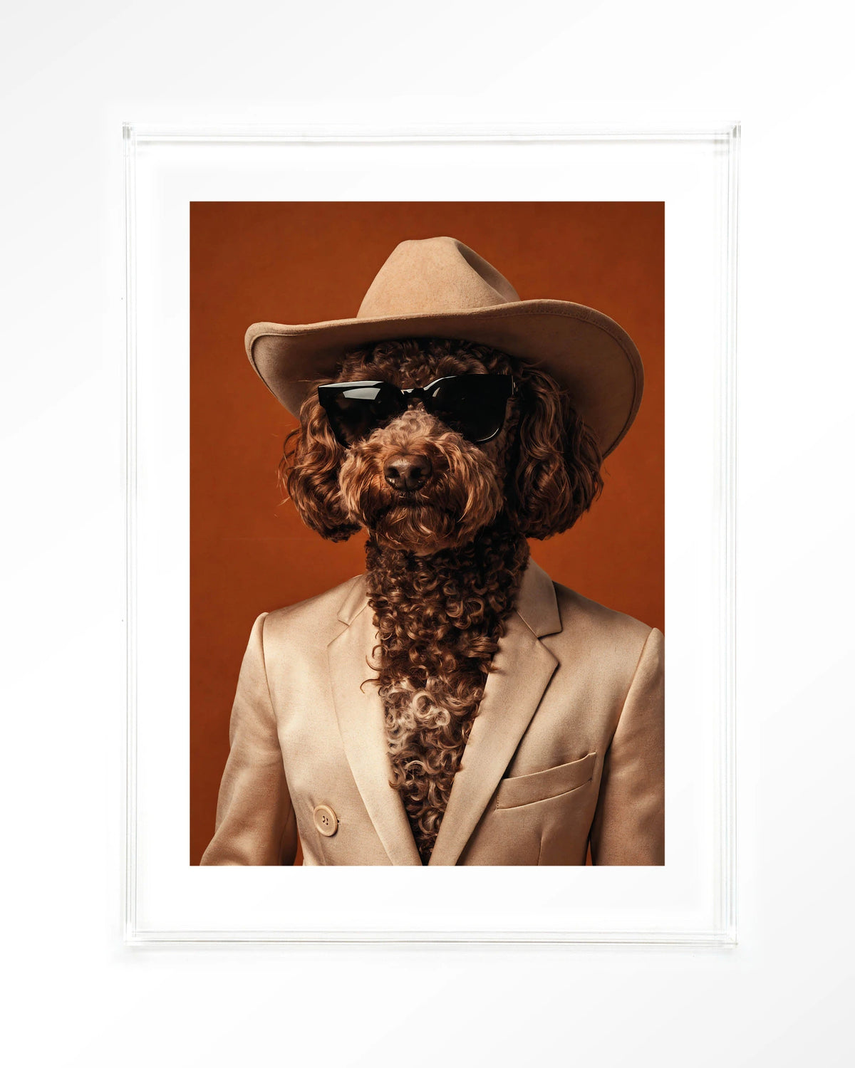 Billy – hond met cowboyhoed – Art print – Acryl doorzichtig