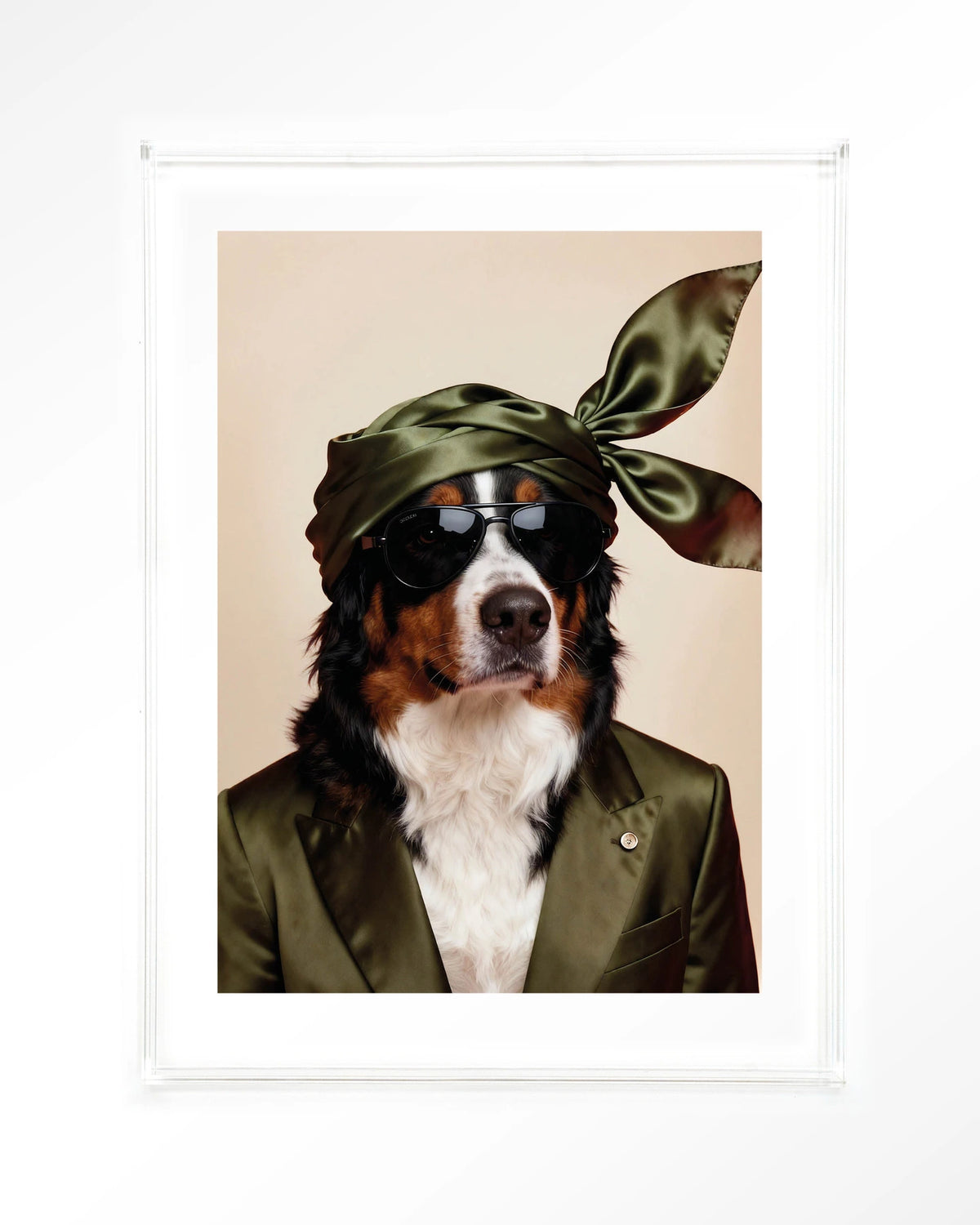 Sam – berner Sennen hond met zonnebril – Art print – Acryl doorzichtig