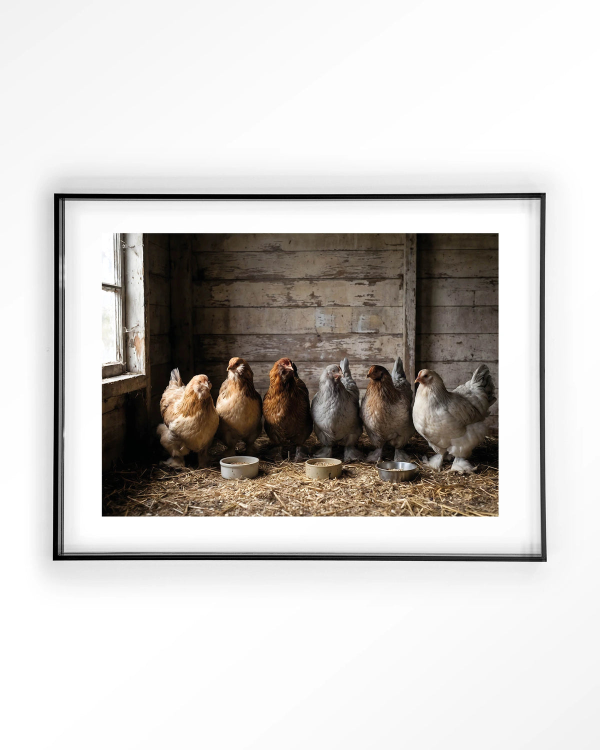 The Chicken Barn – kippen in schuur – Art print – Acryl zwart