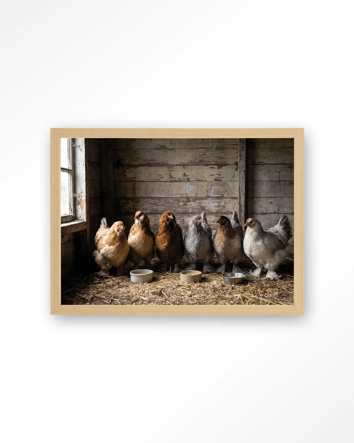 The Chicken Barn – kippen in schuur – Art print – Hout naturel