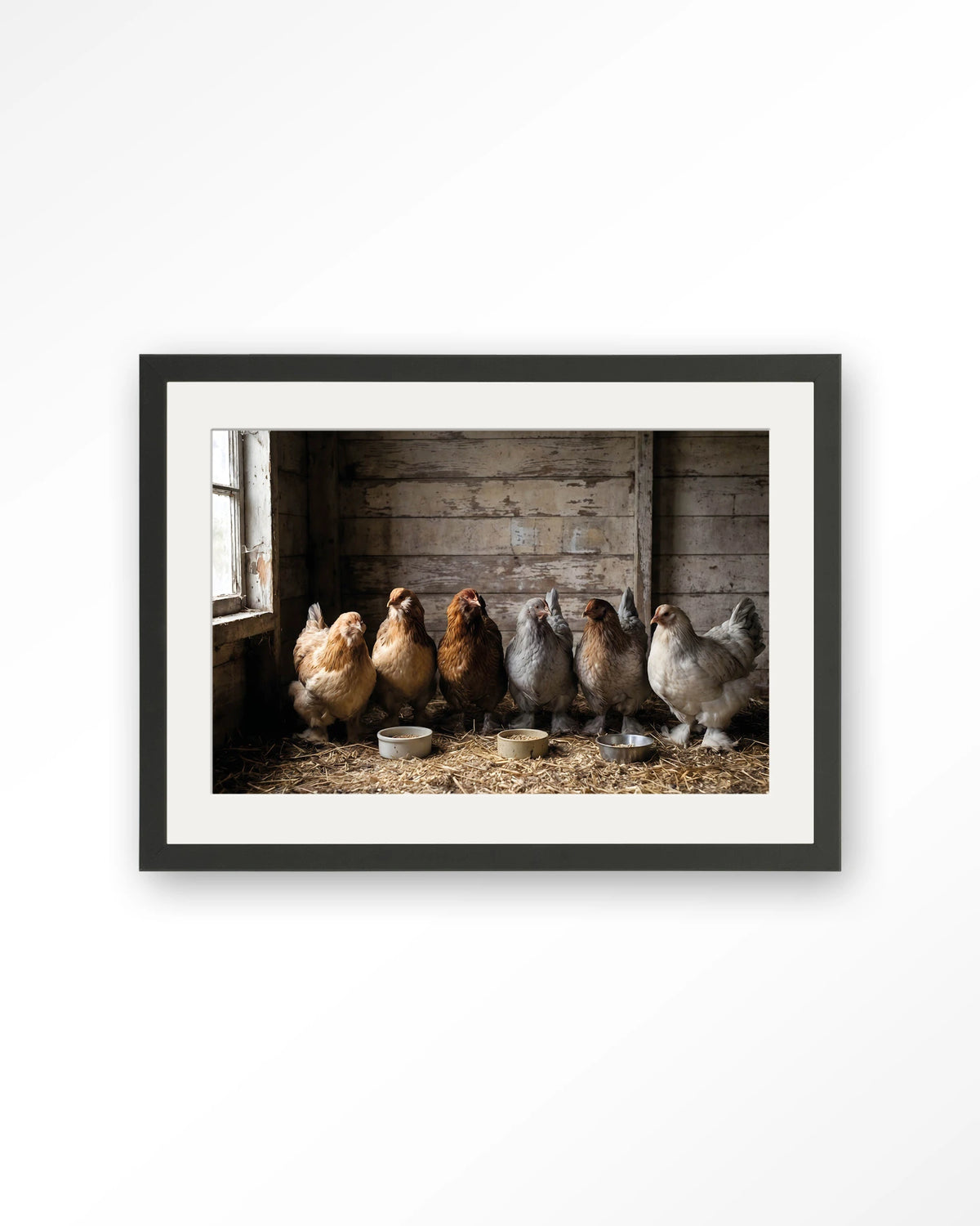 The Chicken Barn – kippen in schuur – Art print – Hout zwart + passe-partout