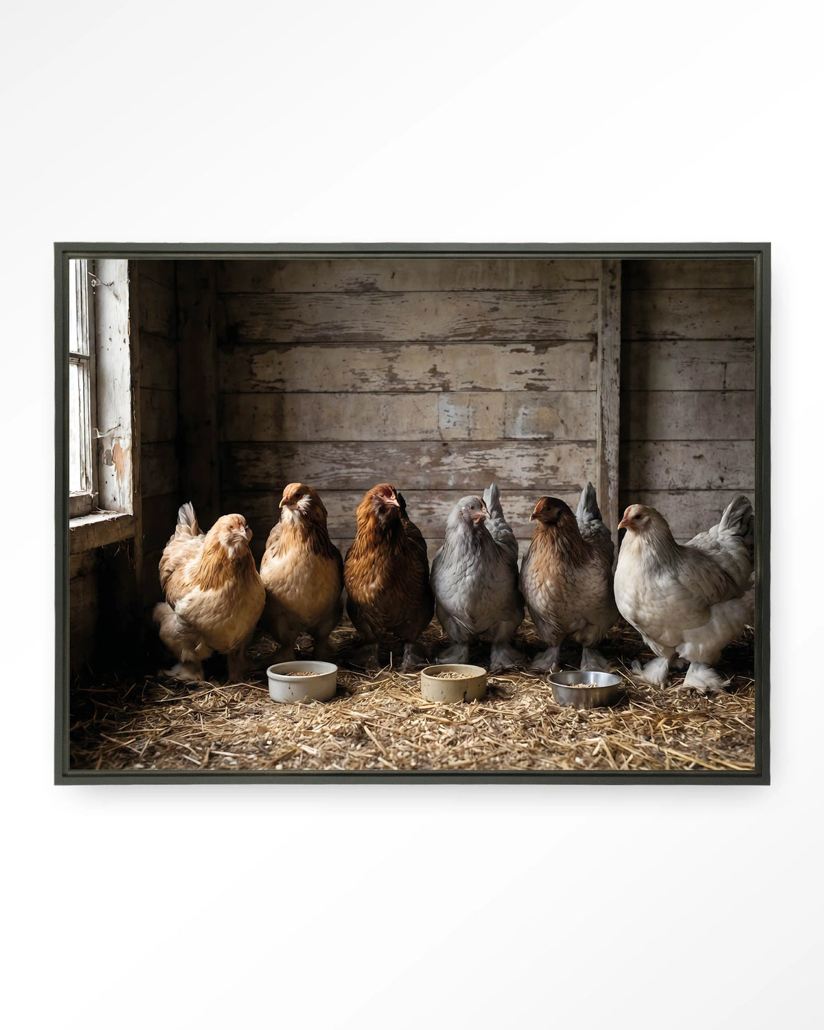 The Chicken Barn – kippen in schuur – Wandkleed – Floating frame – zwart
