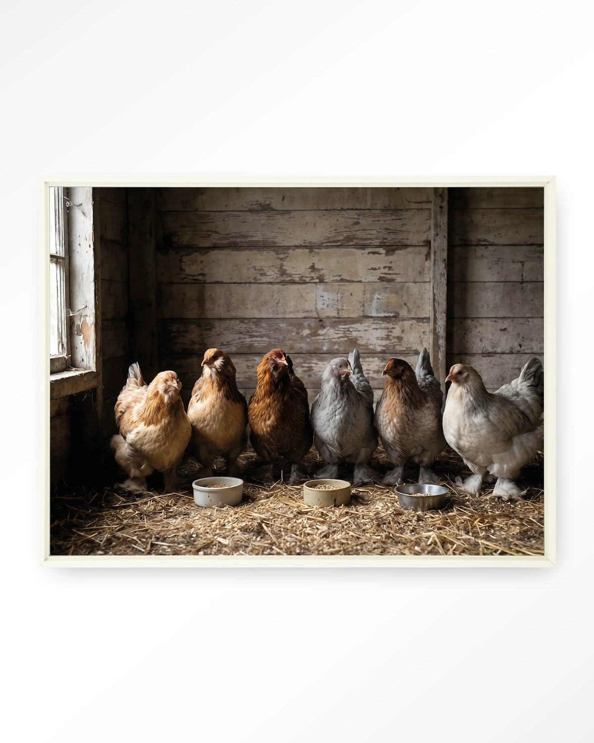 The Chicken Barn – kippen in schuur – Wandkleed – Floating frame – wit