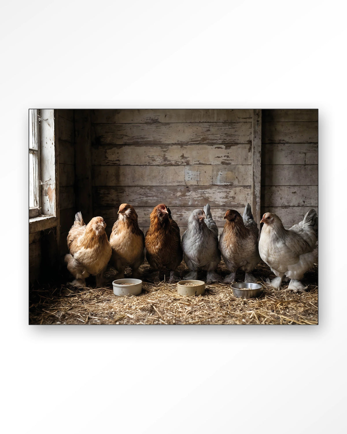 The Chicken Barn – kippen in schuur – Wandkleed – Frame – zwart