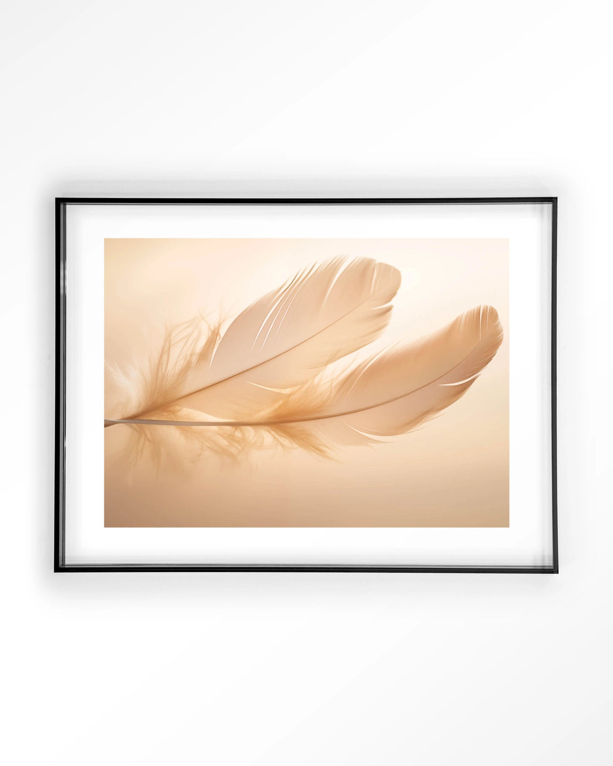 Light Feather – veer in zachte tinten – Art print – Acryl zwart