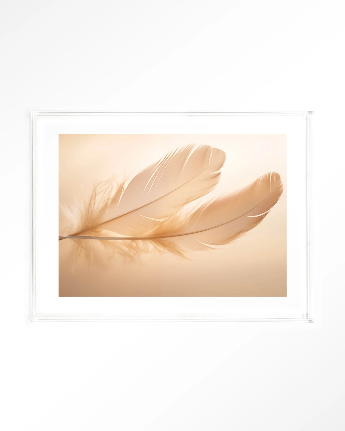 Light Feather – veer in zachte tinten – Art print – Acryl doorzichtig