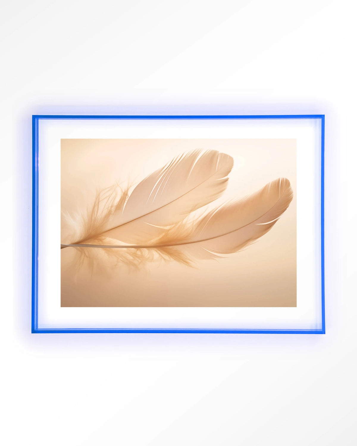 Light Feather – veer in zachte tinten – Art print – Acryl lichtblauw