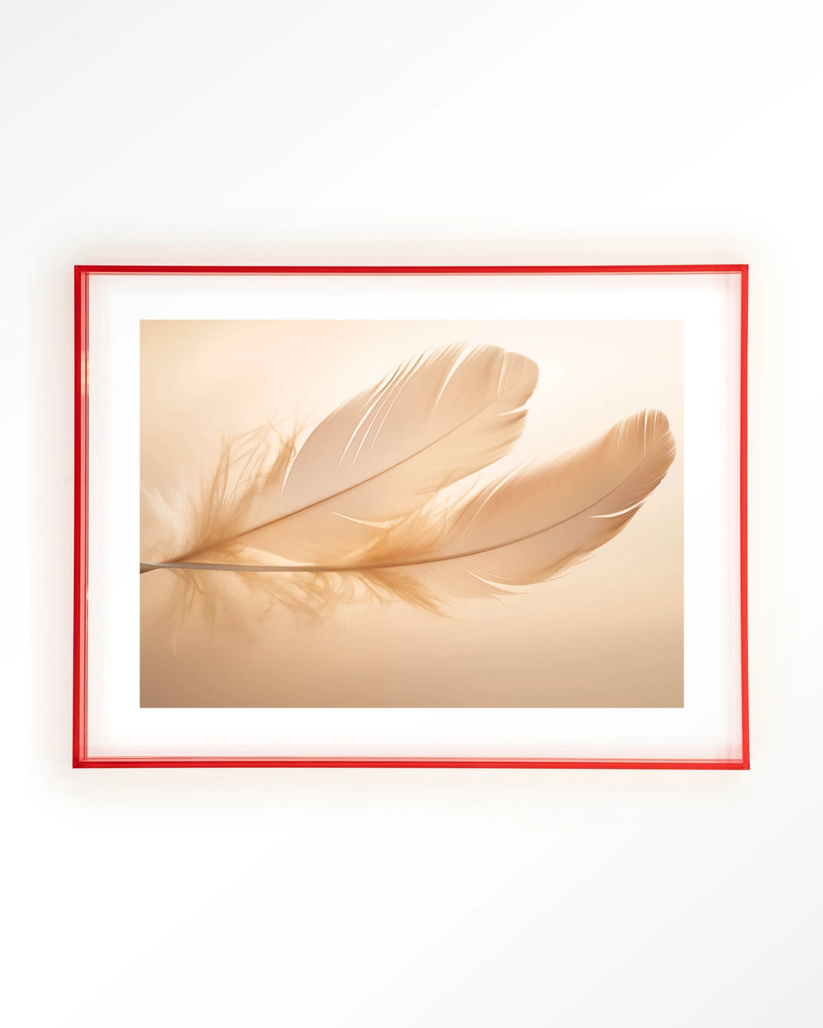 Light Feather – veer in zachte tinten – Art print – Acryl roze