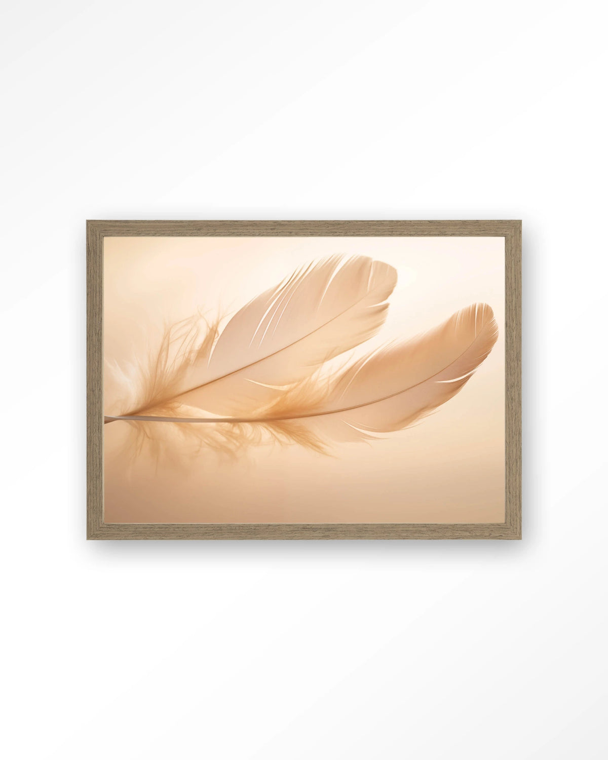 Light Feather – veer in zachte tinten – Art print – Hout bruin