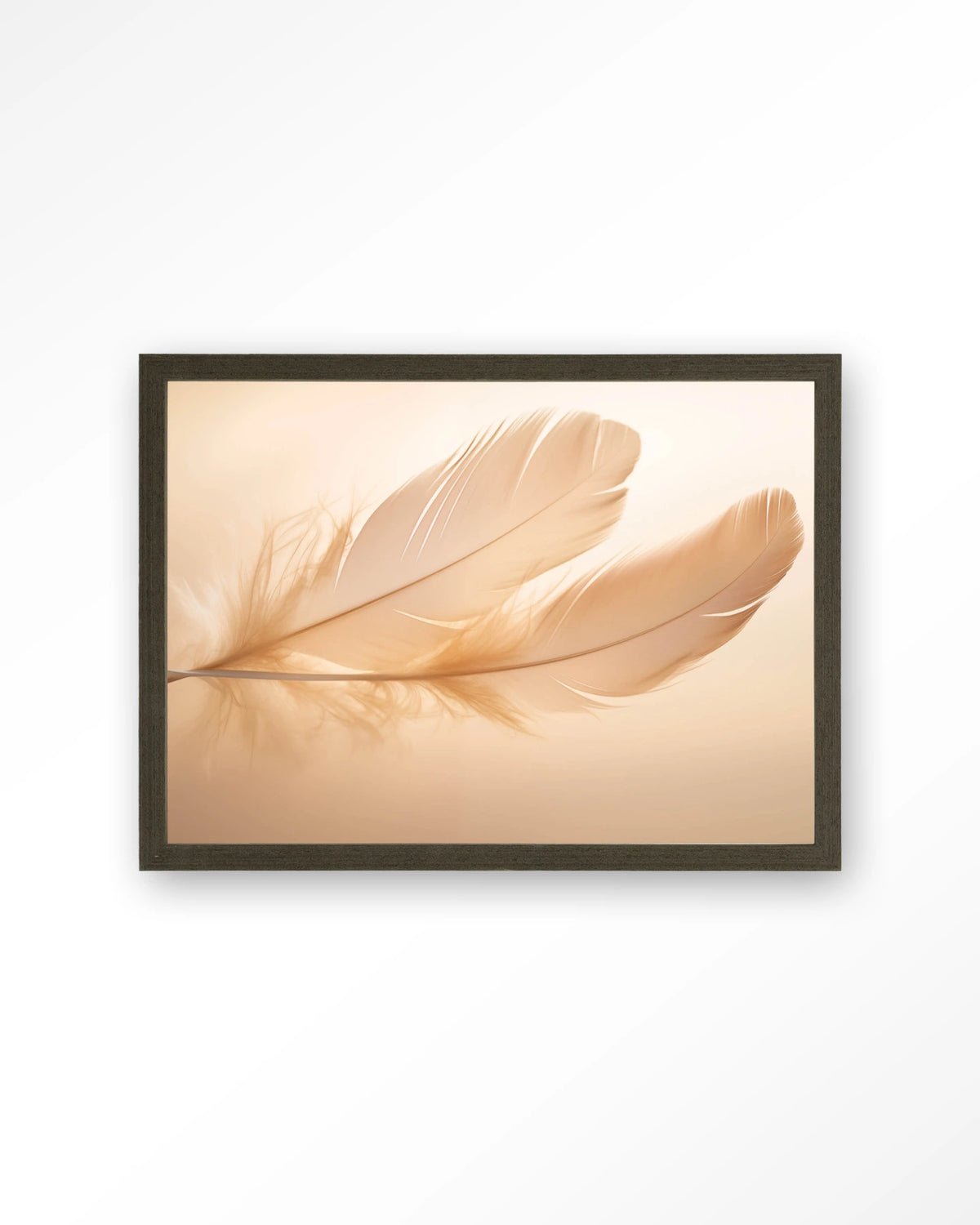 Light Feather – veer in zachte tinten – Art print – Hout donkerbruin