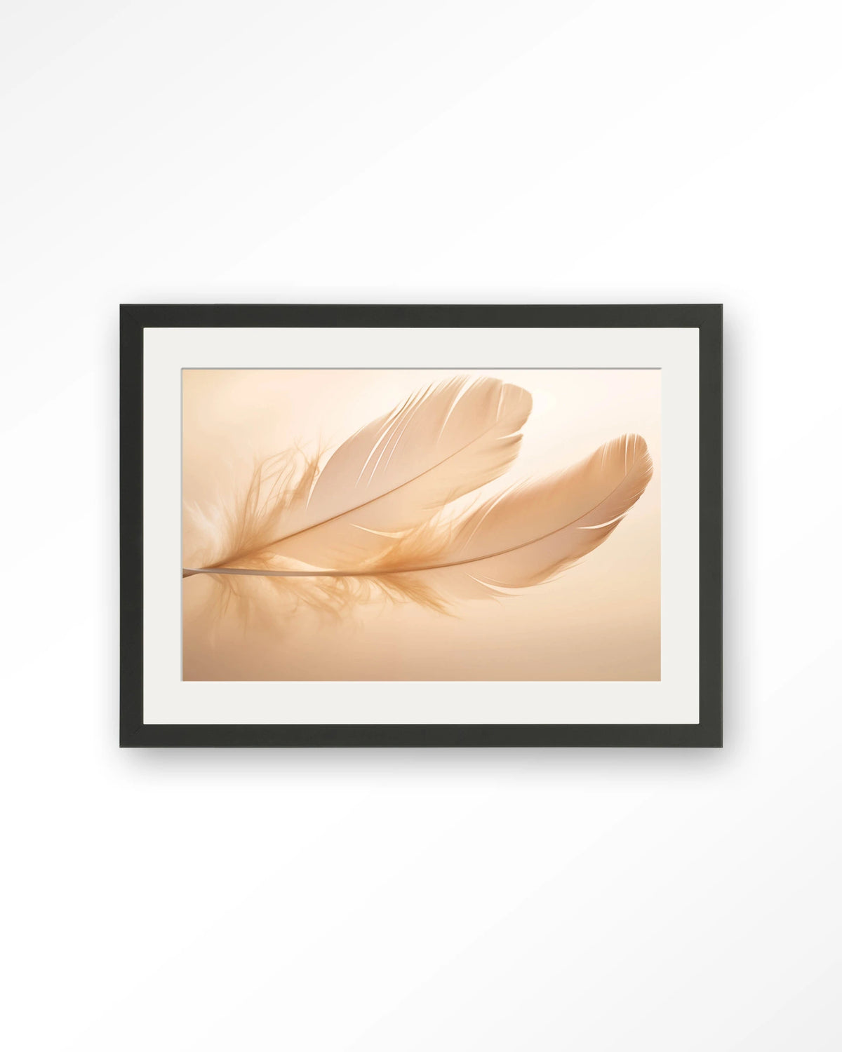 Light Feather – veer in zachte tinten – Art print – Hout zwart + passe-partout