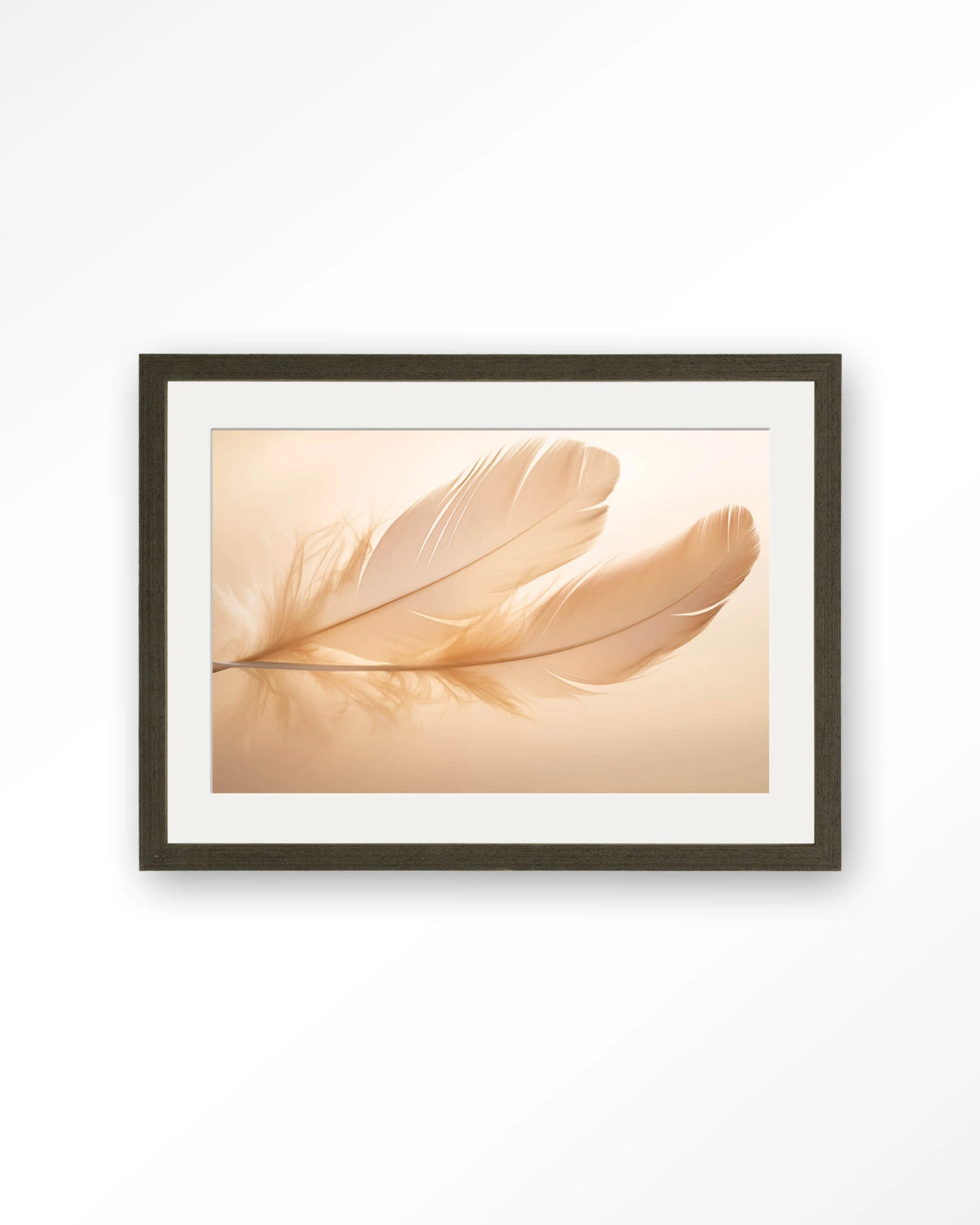 Light Feather – veer in zachte tinten – Art print – Hout donkerbruin + passe-partout