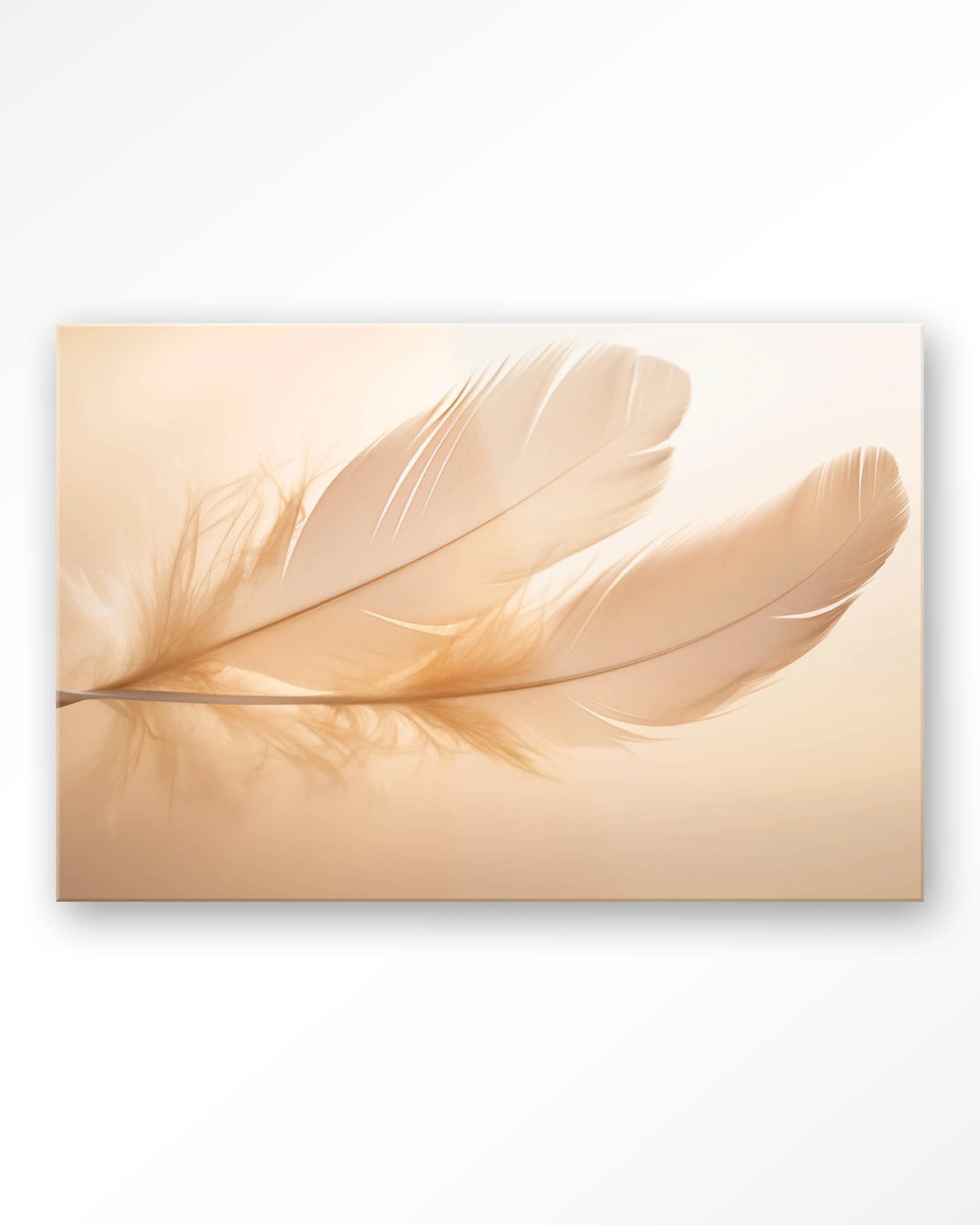 Light Feather – veer in zachte tinten – Glas – Blinde montage