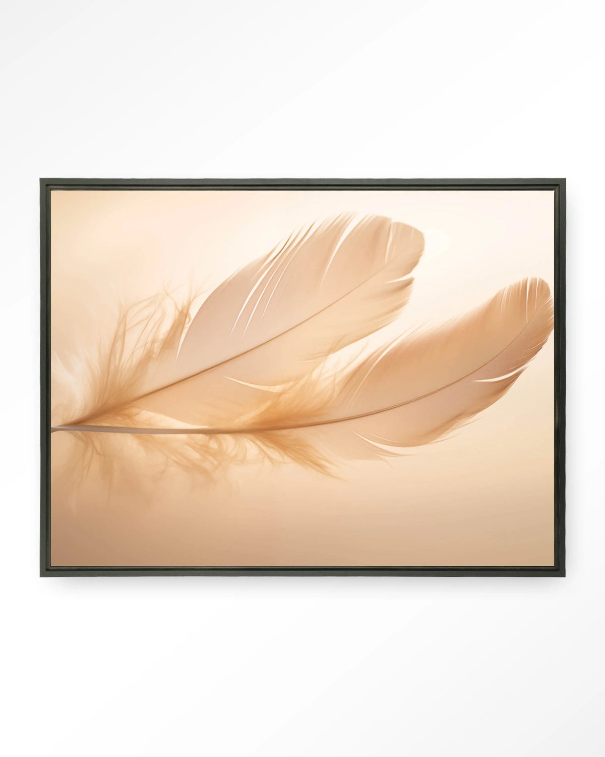 Light Feather – veer in zachte tinten – Wandkleed – Floating frame – zwart