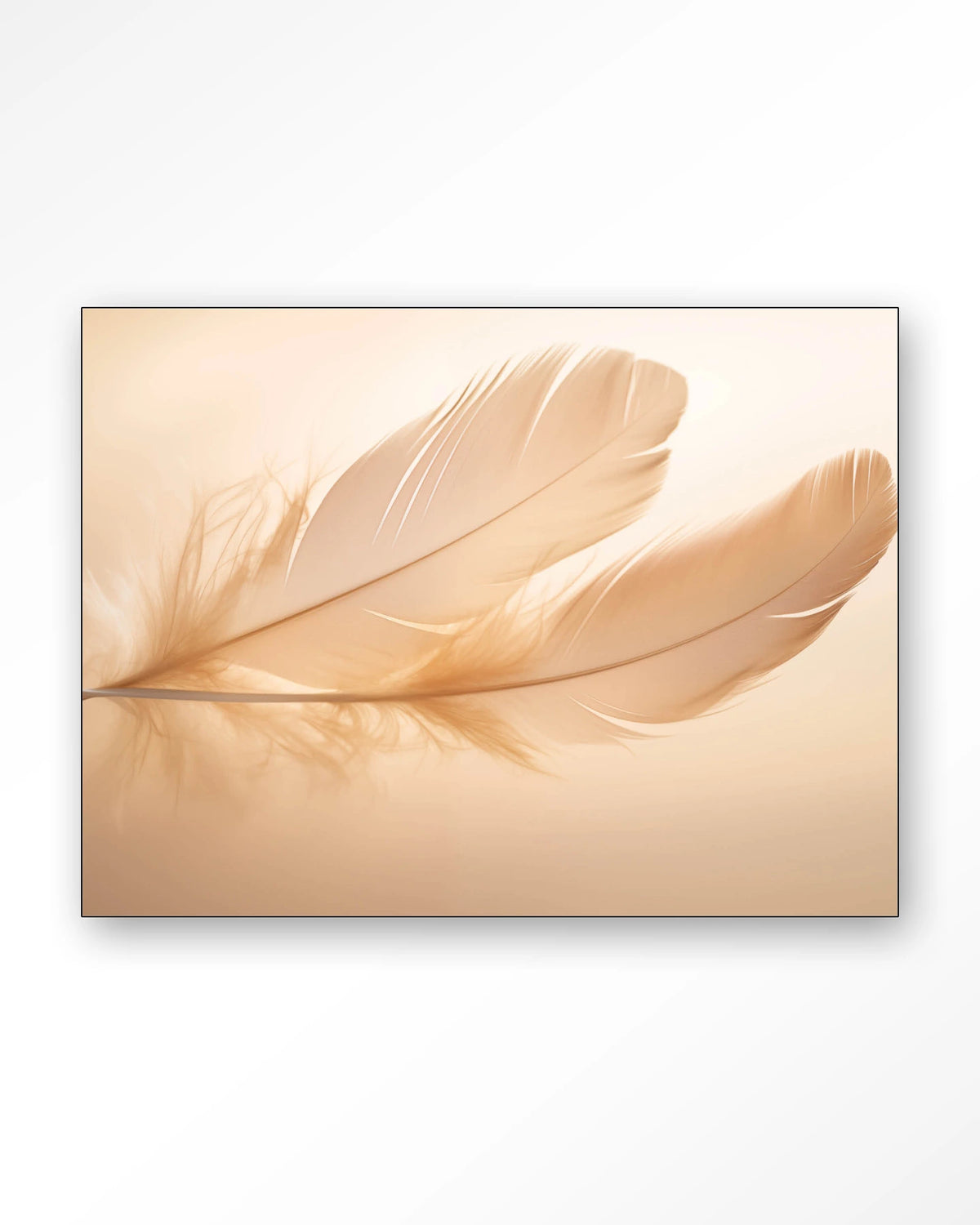 Light Feather – veer in zachte tinten – Wandkleed – Frame – zwart