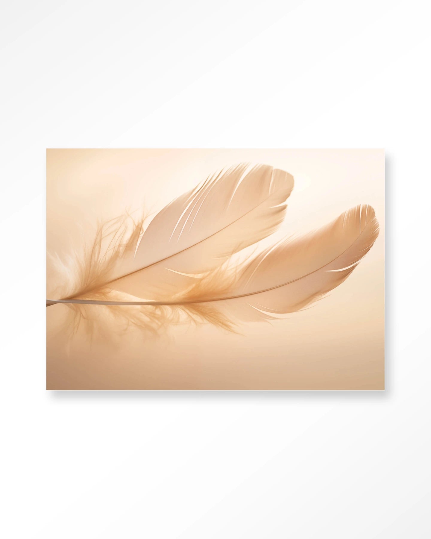 Light Feather – Art Print