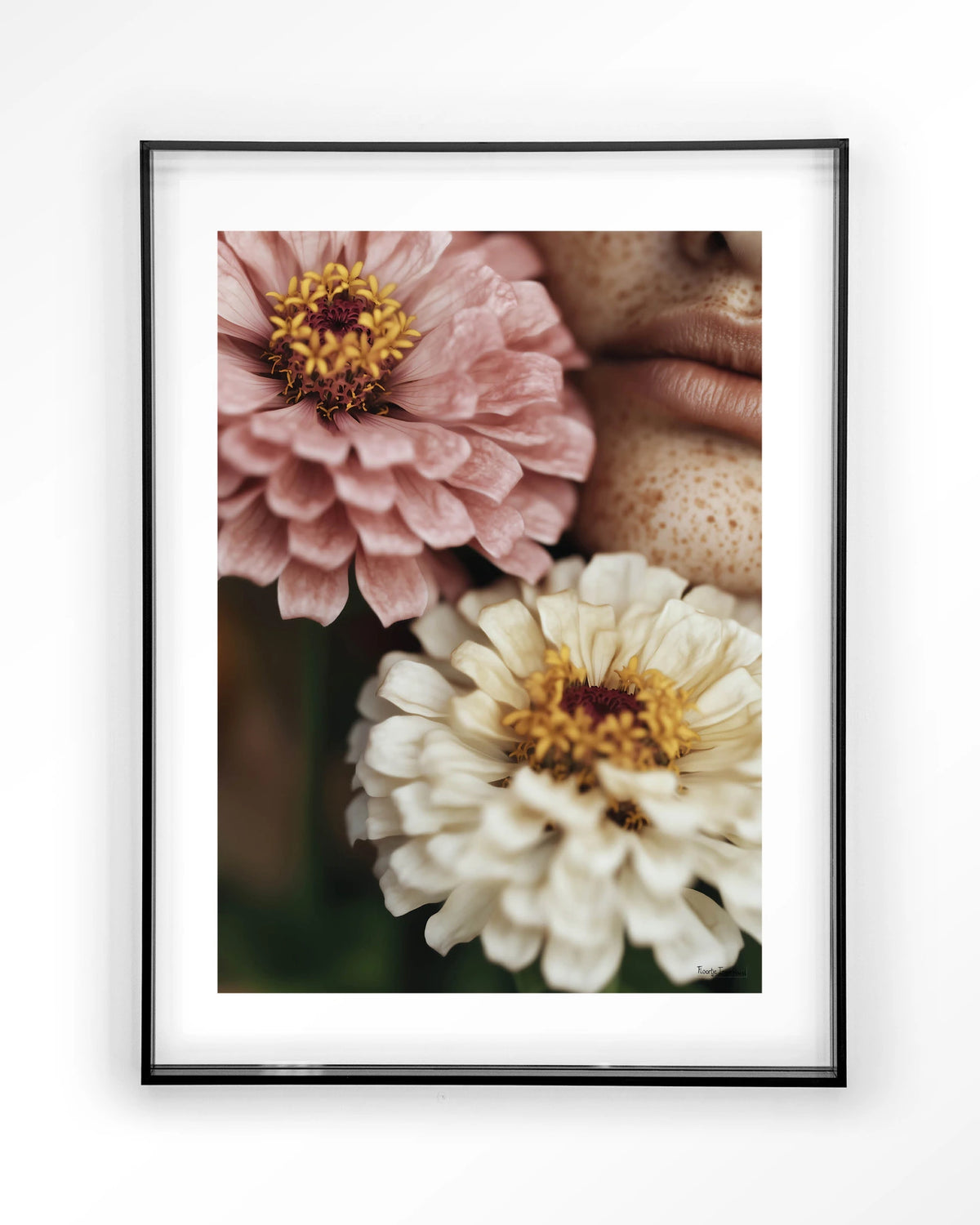Zinnia – zinnia bloemen close-up – Art print – Acryl zwart