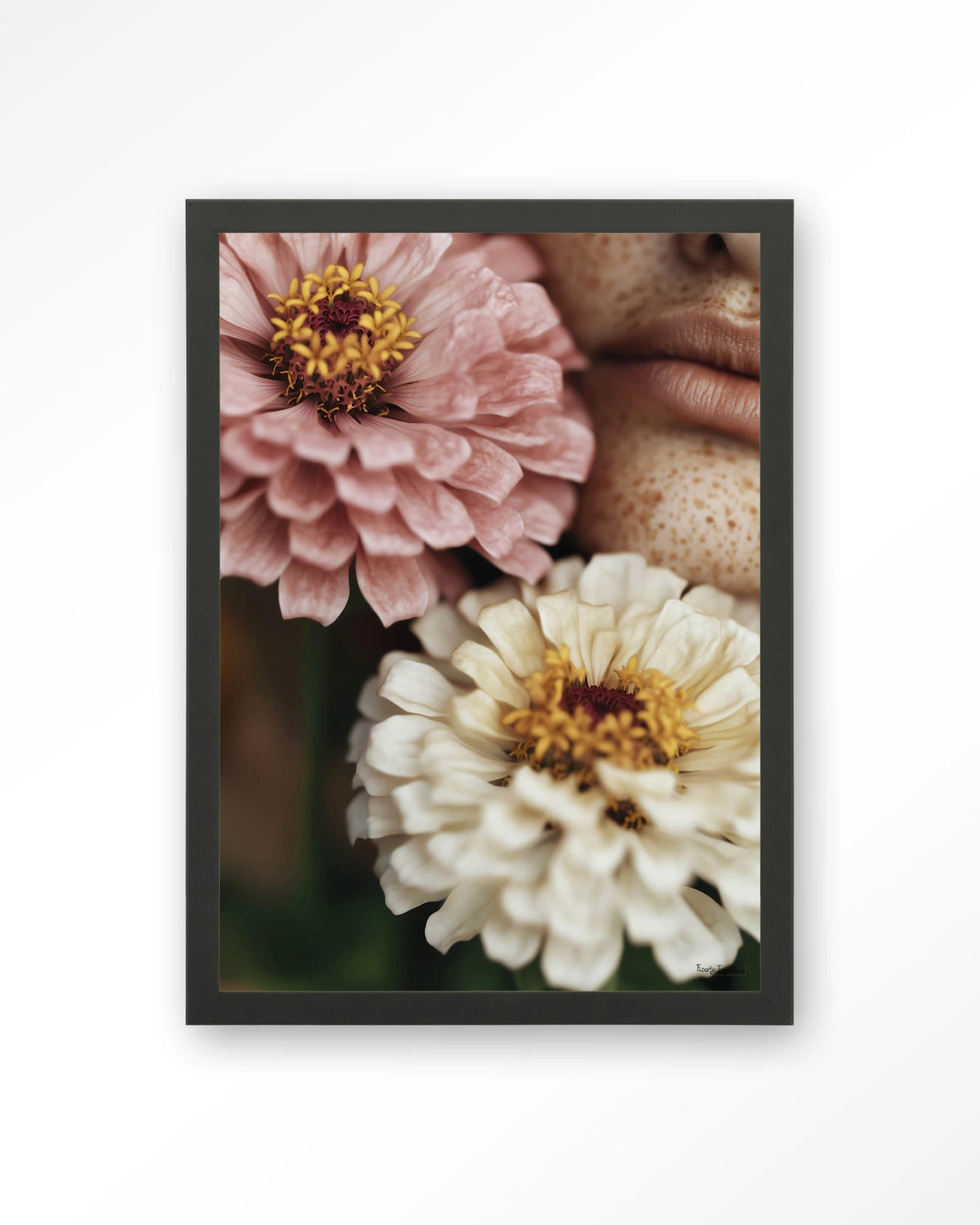 Zinnia – zinnia bloemen close-up – Art print – Hout zwart