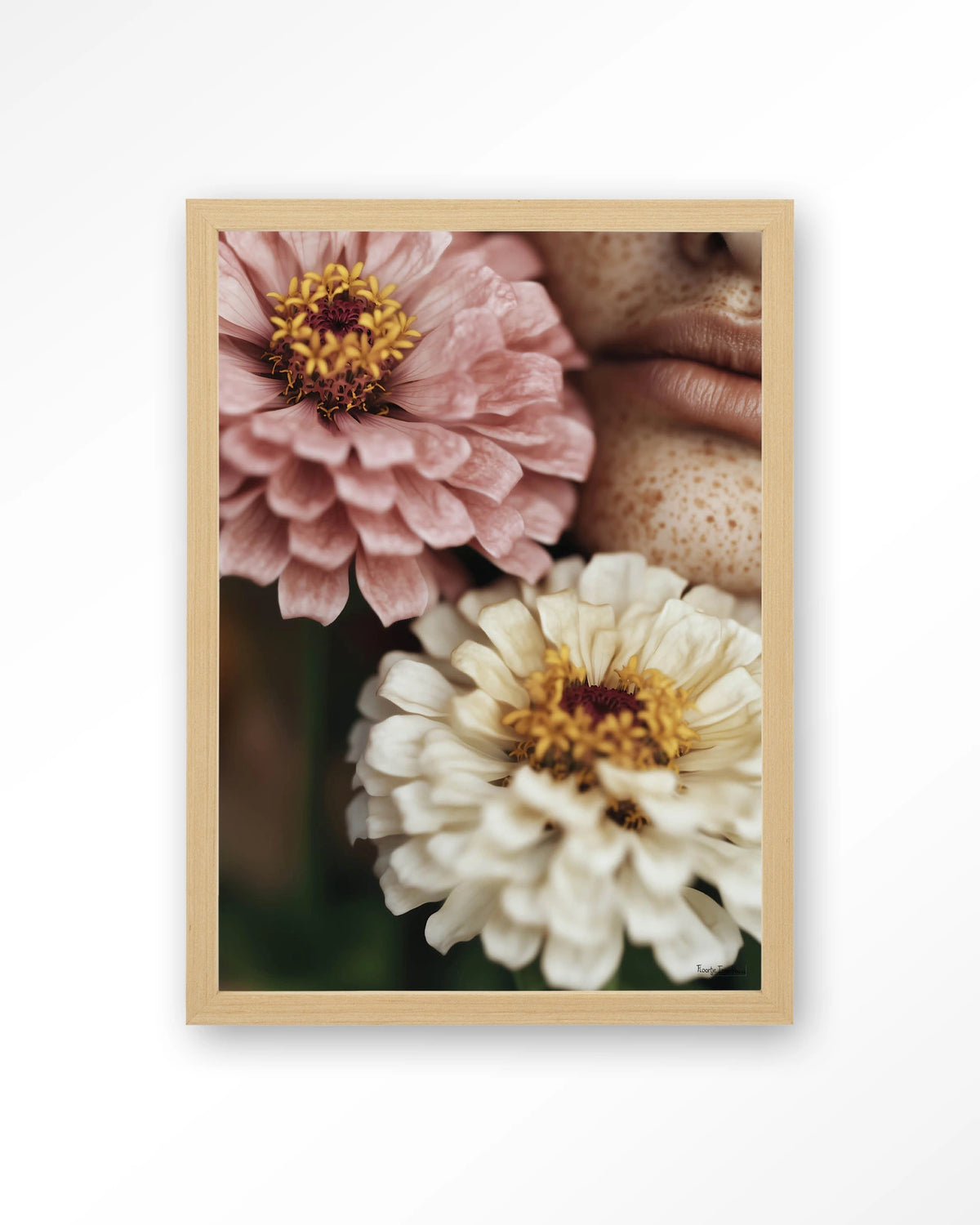 Zinnia – zinnia bloemen close-up – Art print – Hout naturel
