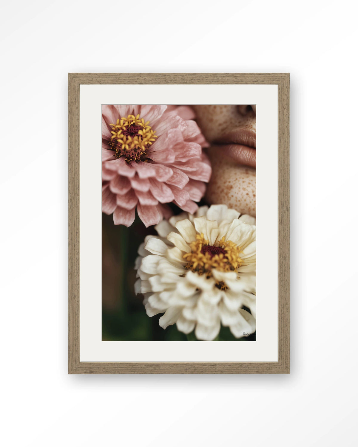 Zinnia – zinnia bloemen close-up – Art print – Hout bruin + passe-partout