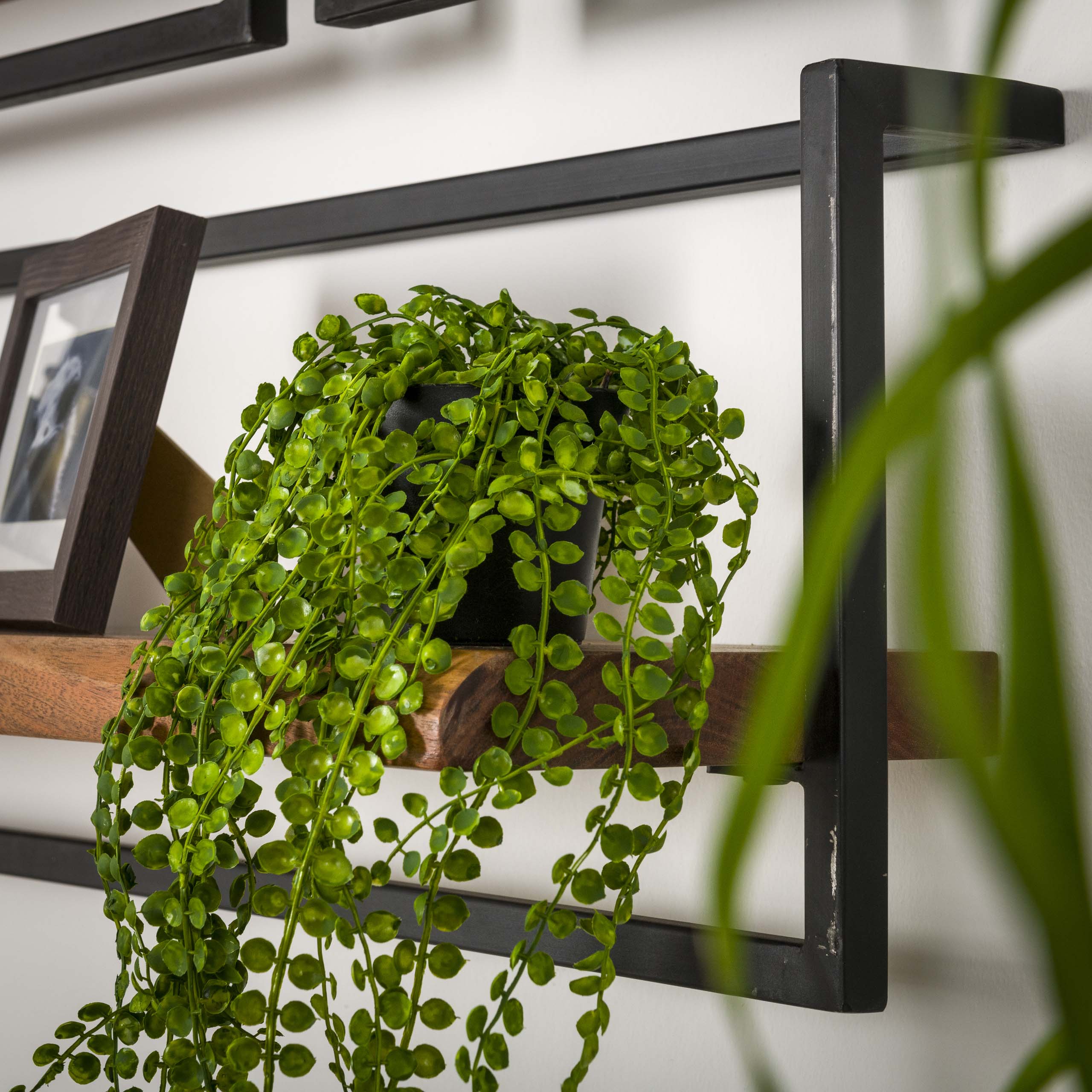 Wandplank Edge Frame 65Cm Massief Acacia