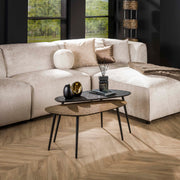 Salontafel Metallic niervormig set van 2 / Grijs