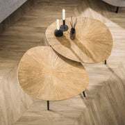 Salontafel Ray organisch set van 2 / Ray antiek goud
