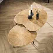 Salontafel Ray niervormig set van 2 / Ray antiek goud