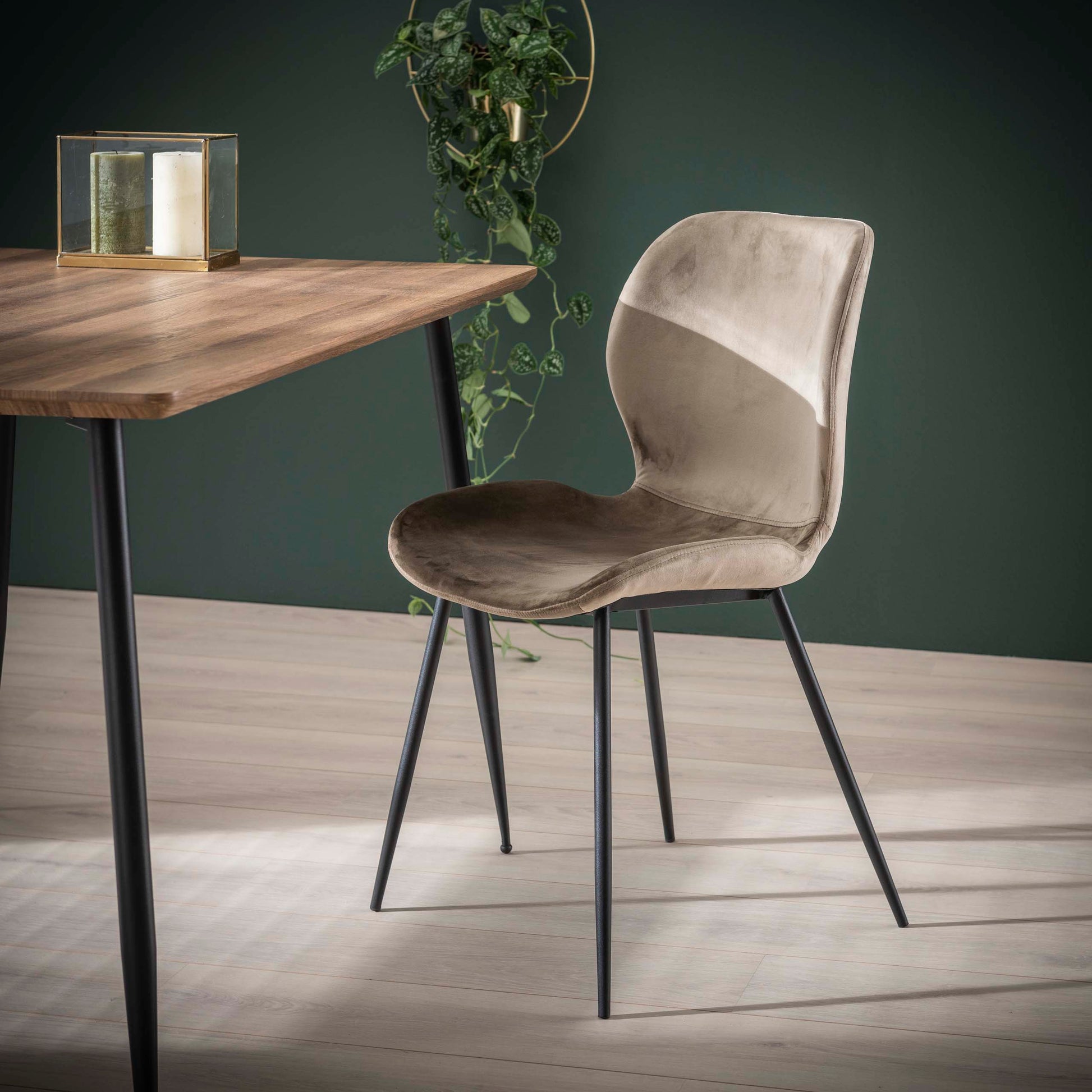 Stoel Rondea verpakt per 4 / Velours champagne