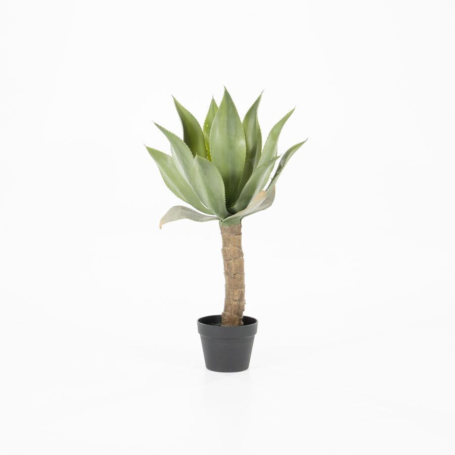 Fake plants Agave on stem 46x46x81.5 – small | By Boo