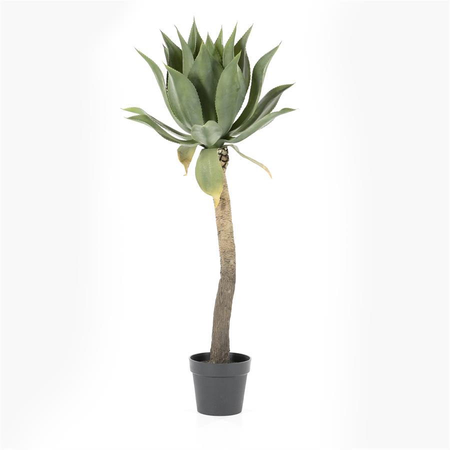Fake plants Agave on stem 51x51x122 – large | By Boo