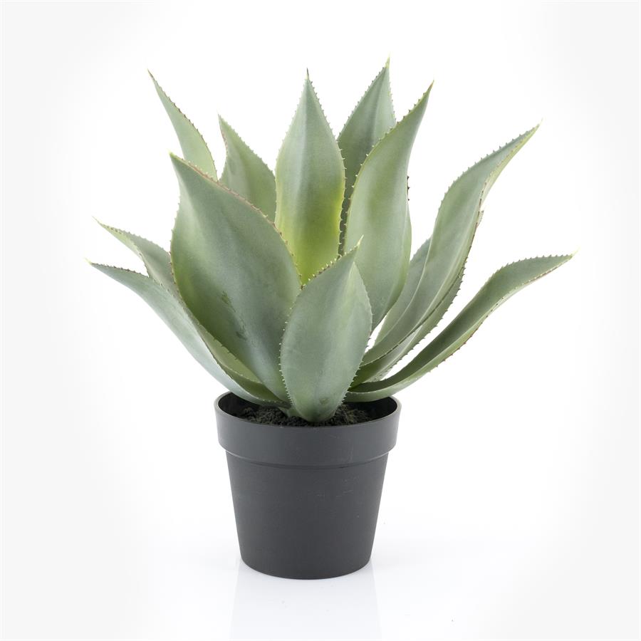 Fake plants Agave 51x51x51 – large | By Boo