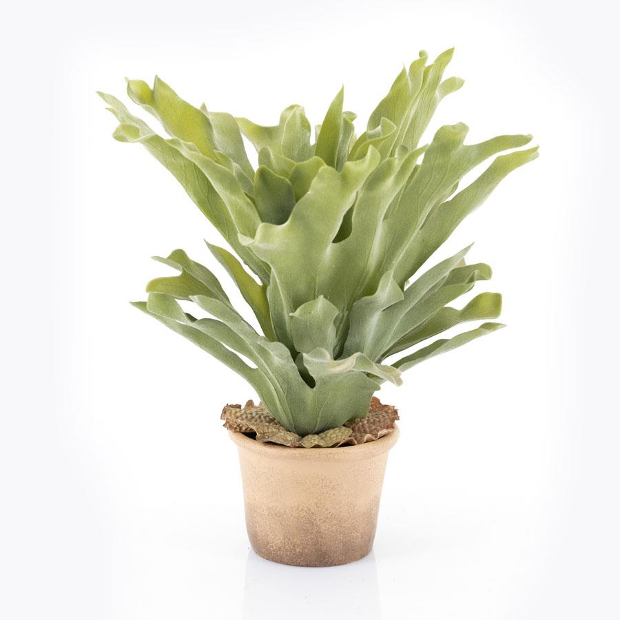 Fake plants Staghorn fern medium – naturel | By Boo