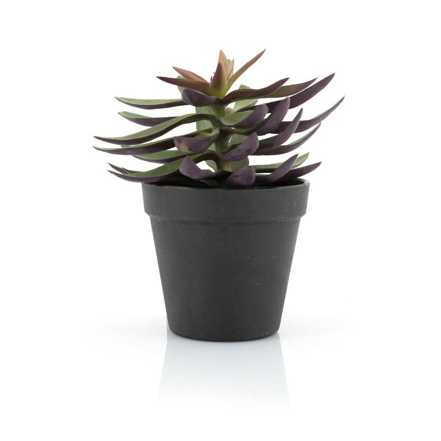 Fake plants Succulent 18x18x18 – naturel | By Boo