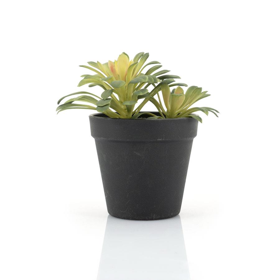 Fake plants Succulent 16.5x13x16.5 – naturel | By Boo