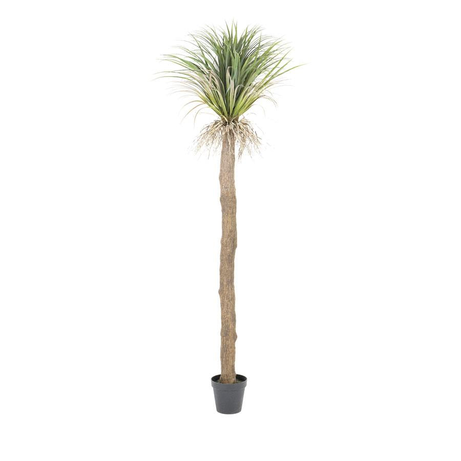 Fake plants Wild Yucca tree – large | By Boo