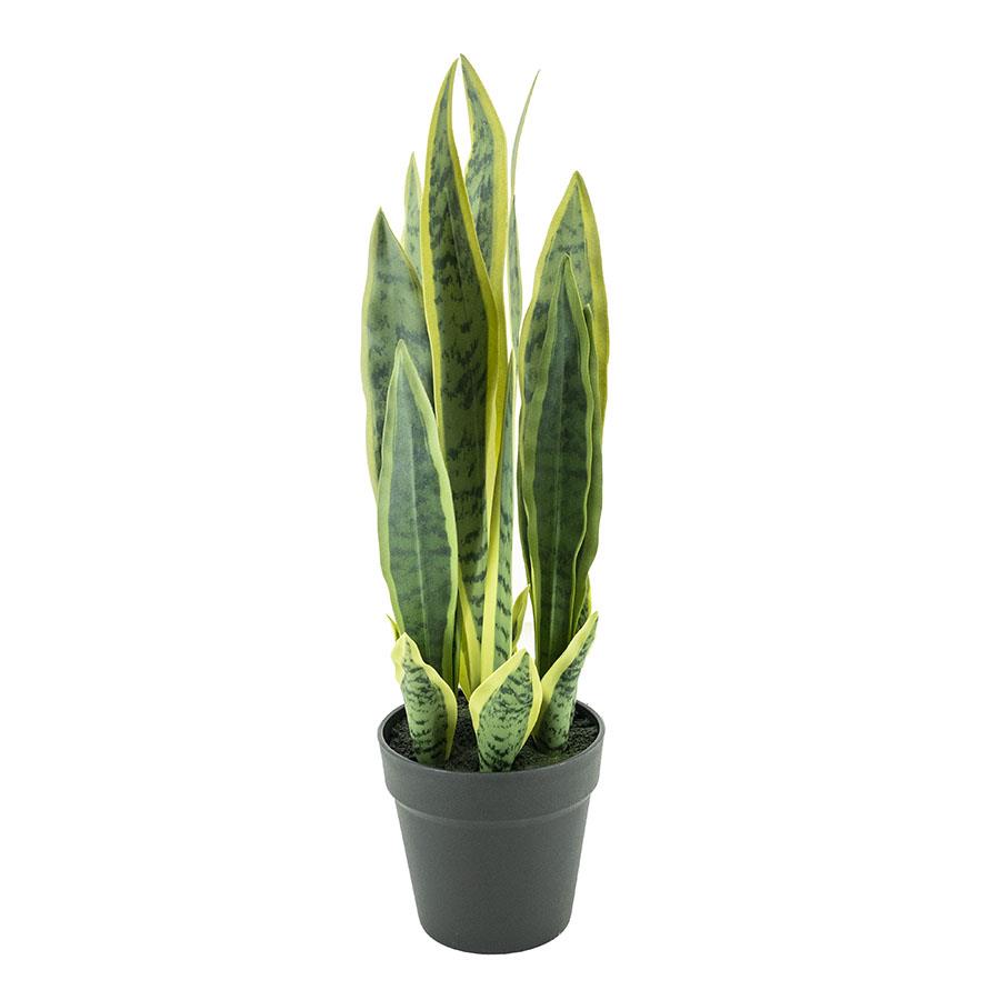 Fake plants Sansevieria 18x18x55 – small | By Boo