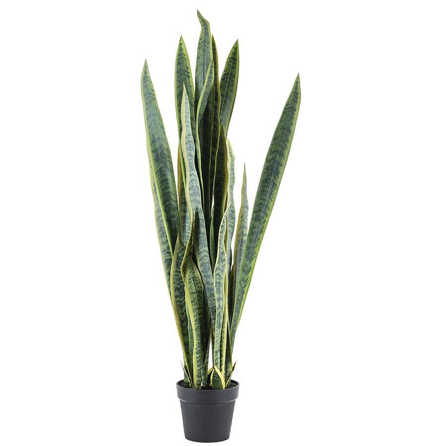 Fake plants Sansevieria 50.5x50.5x133 – large | By Boo
