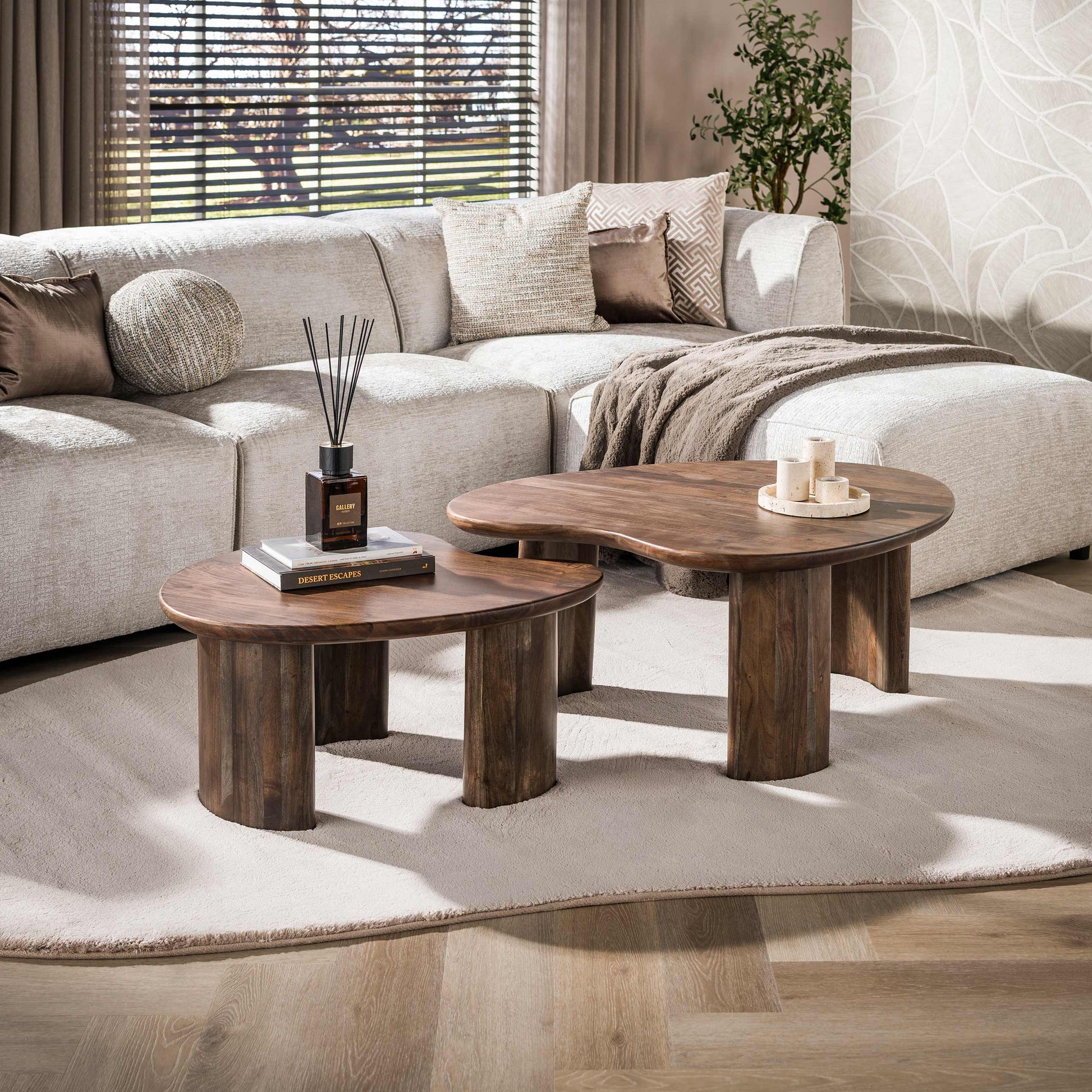 Salontafel Mova set van 2 / Massief acacia bruin