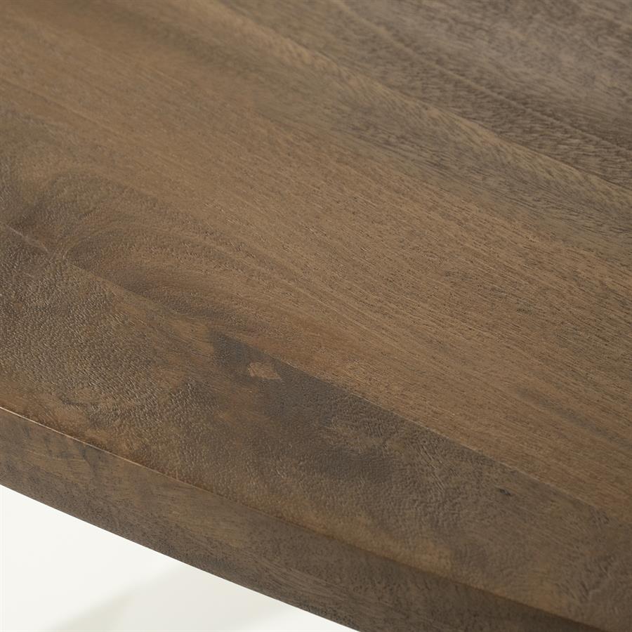 Eettafel Taylor 200x110 cm