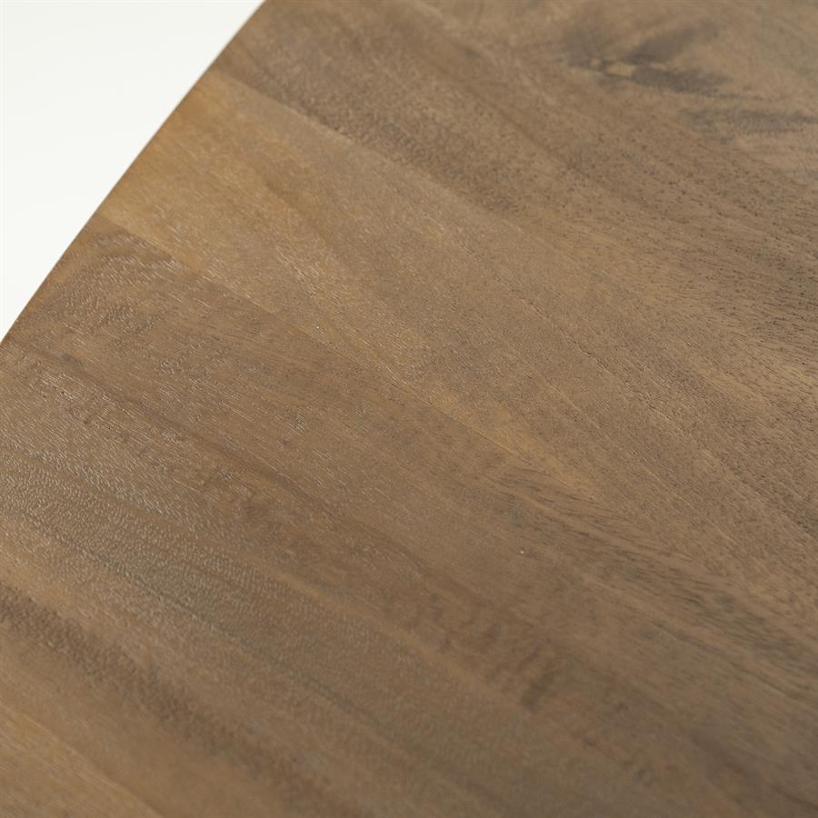 Eettafel Taylor 200x110 cm