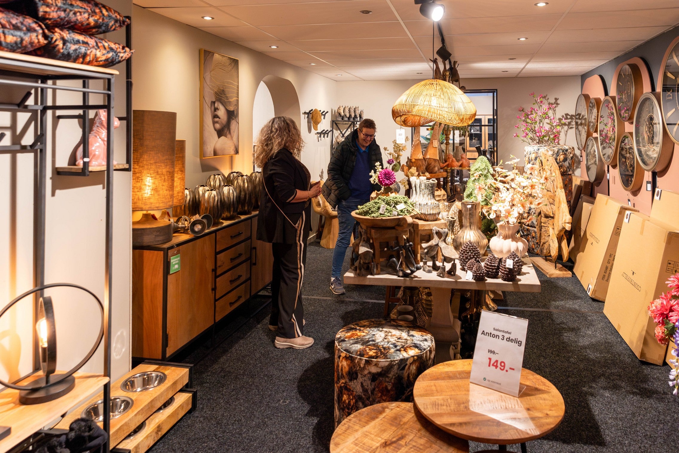 De Friese Meubeljongens