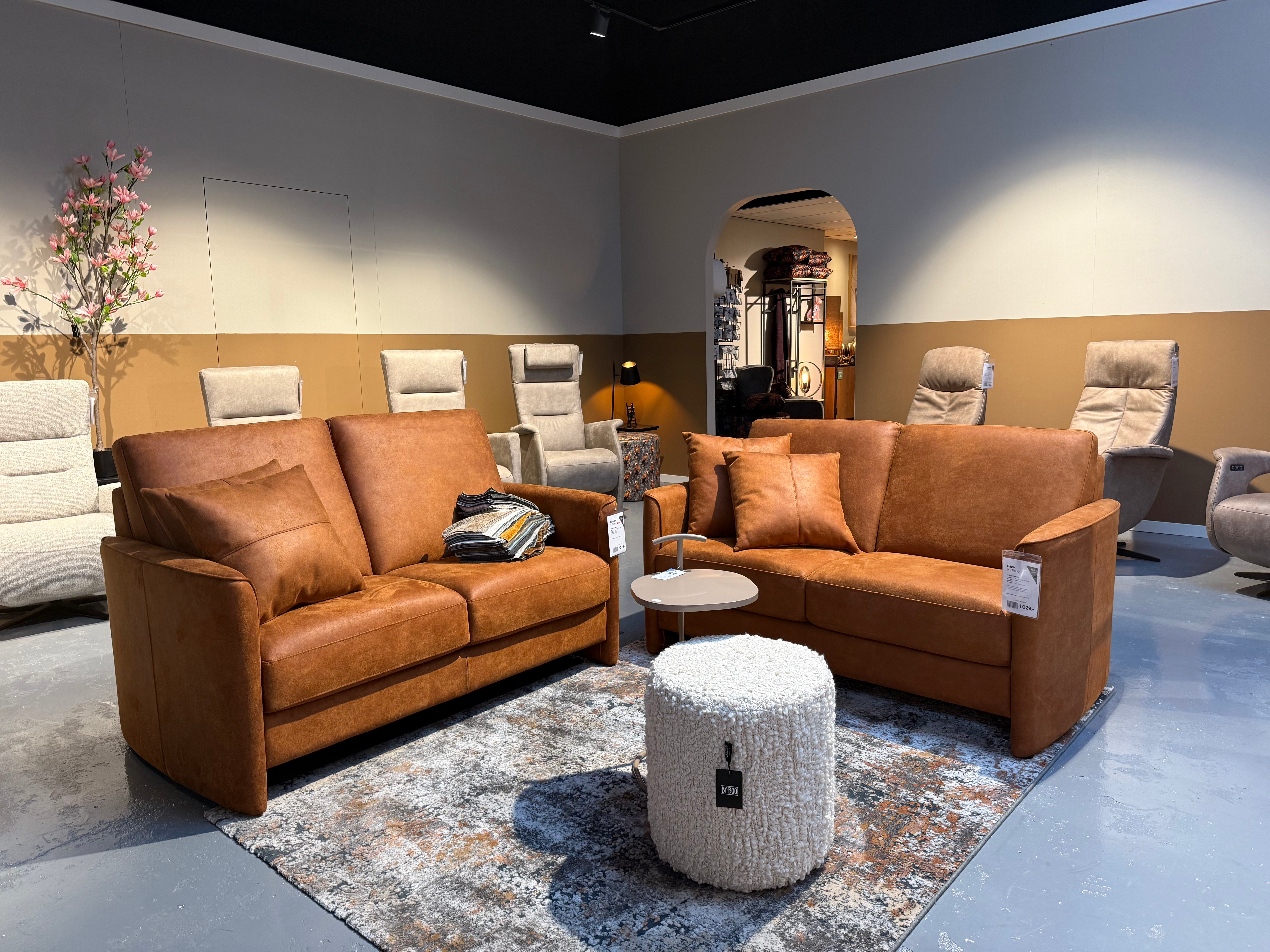 De Friese Meubeljongens