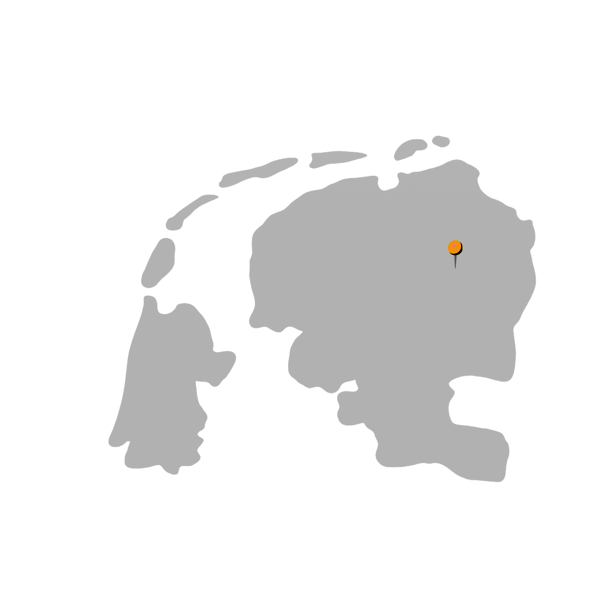 De Friese Meubeljongens