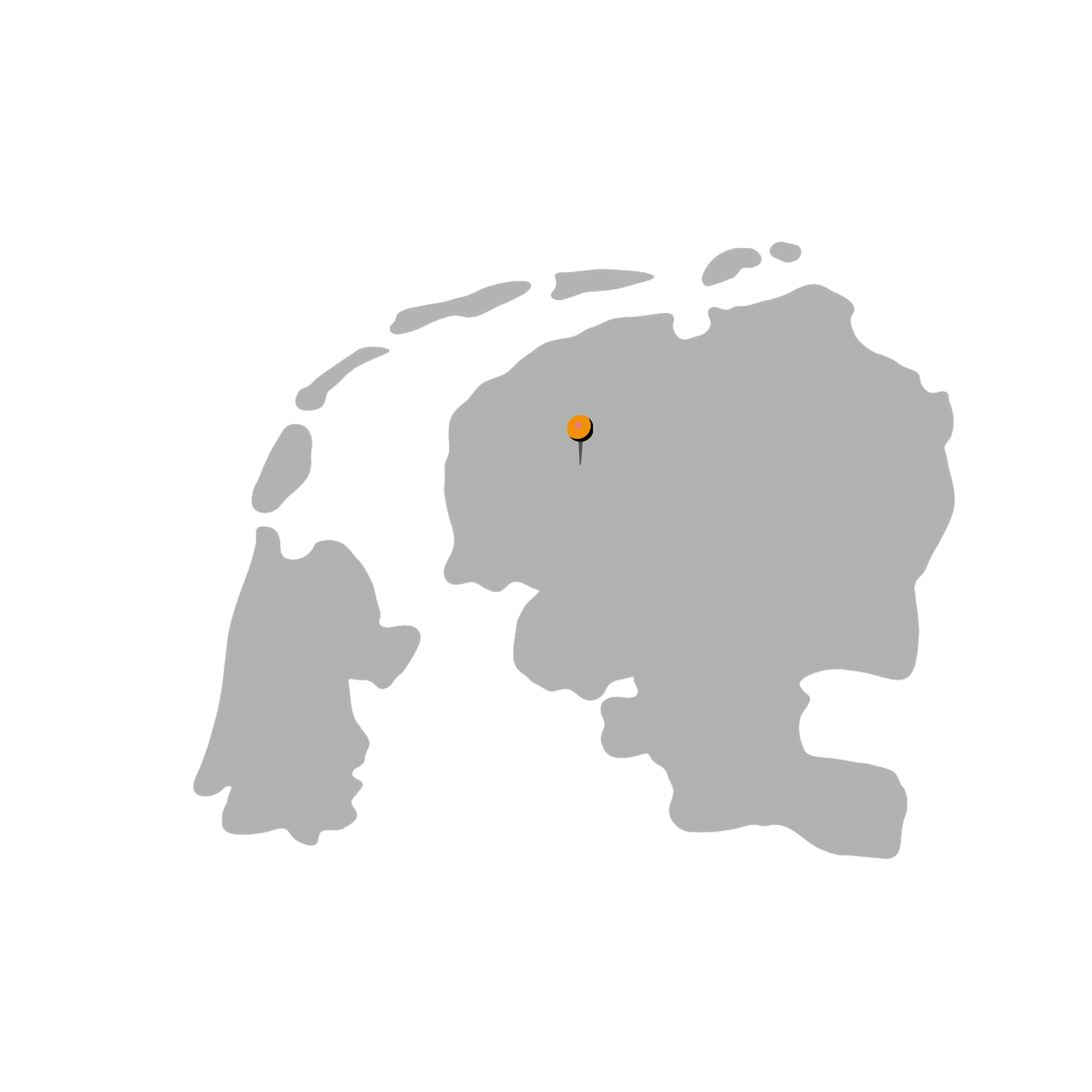 De Friese Meubeljongens