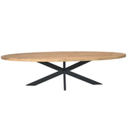 Ovale eettafel Dakota Naturel Mangohout 300 cm